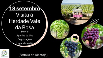 Visita à Herdade Vale da Rosa